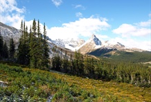 Jasper National Park